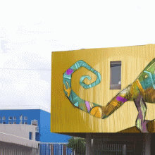 Primaria Piave